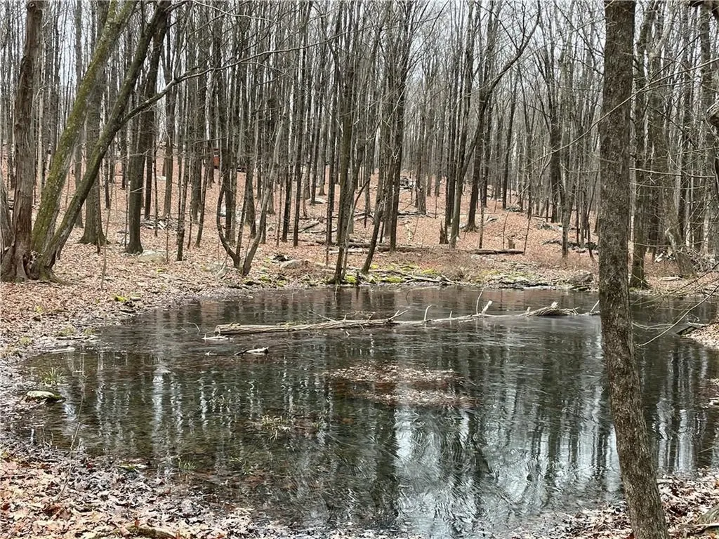12 Denton Lake Road Holmes NY 12531