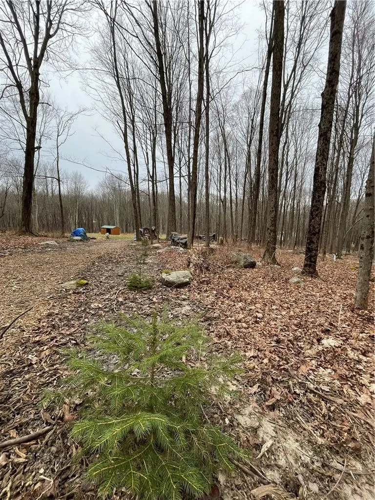 12 Denton Lake Road Holmes NY 12531