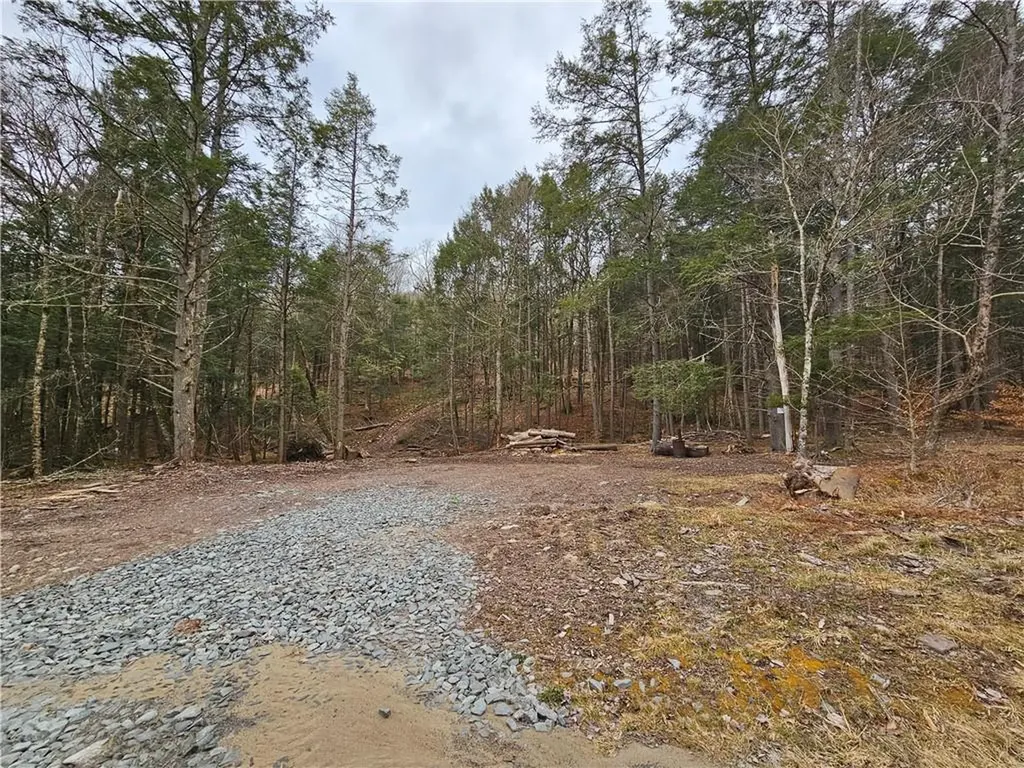 Hunter Road Claryville NY 12725