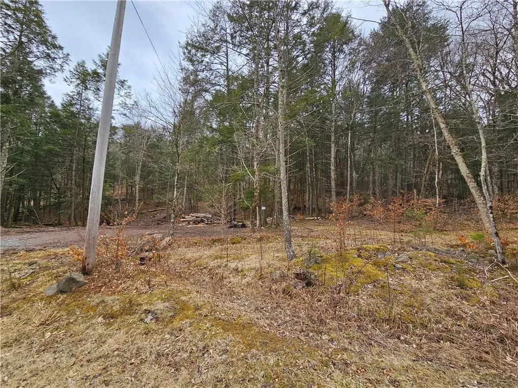Hunter Road Claryville NY 12725