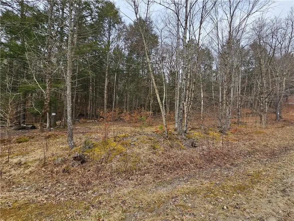Hunter Road Claryville NY 12725