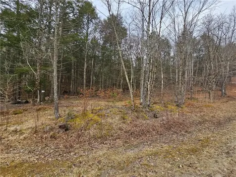 Hunter Road Claryville NY 12725