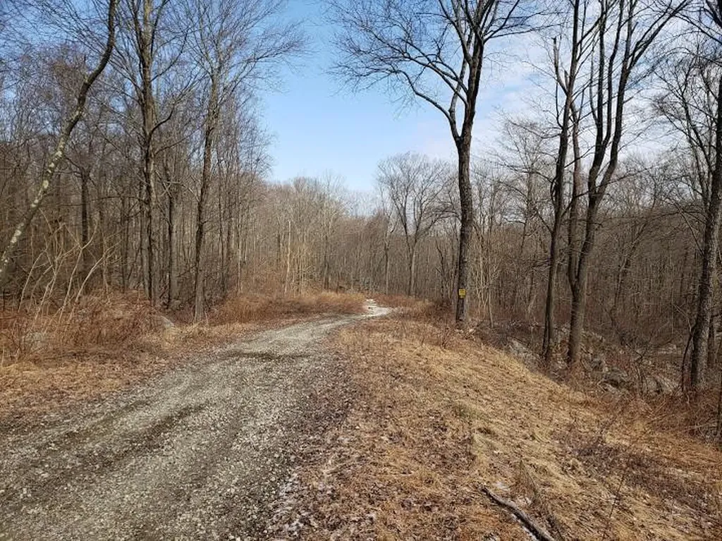 S White Rock Road Holmes NY 12531