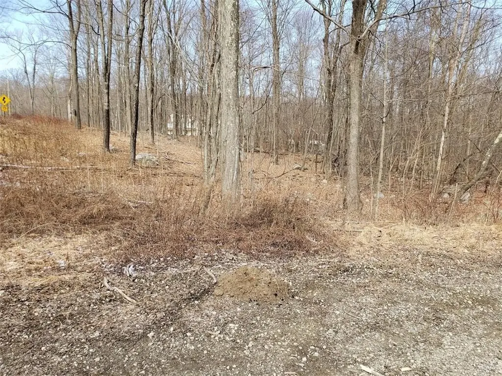 S White Rock Road Holmes NY 12531