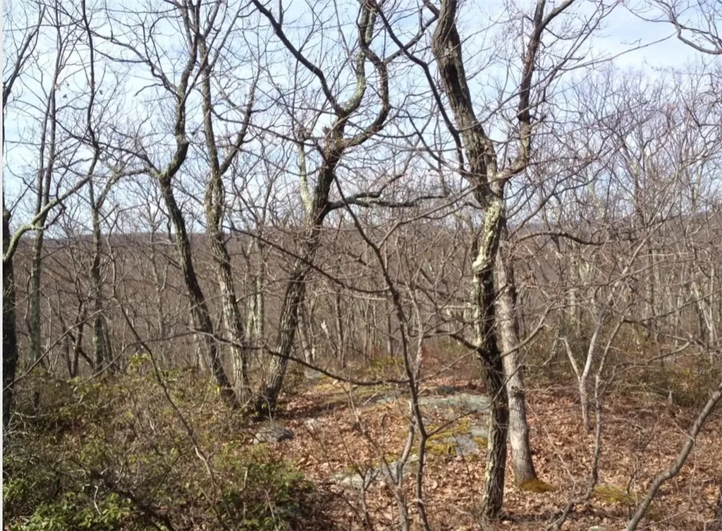 S White Rock Road Holmes NY 12531
