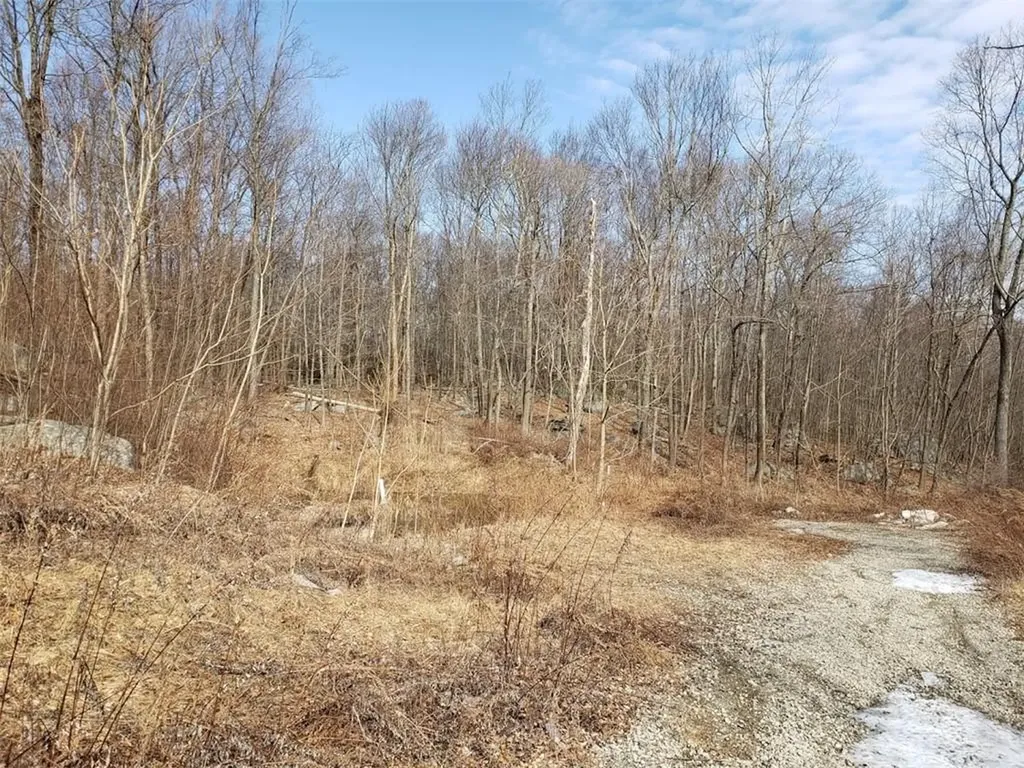 S White Rock Road Holmes NY 12531