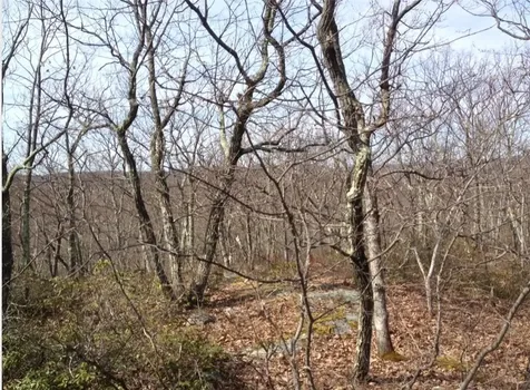 S White Rock Road Holmes NY 12531