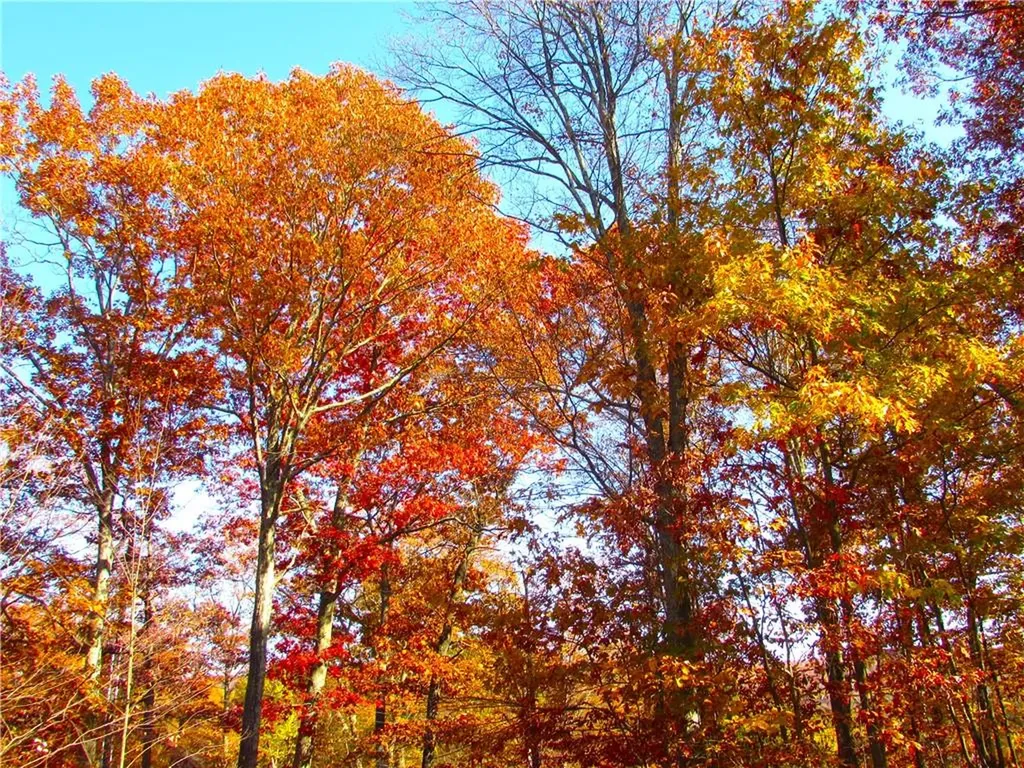 15 Rocky Mountain Way Holmes NY 12531