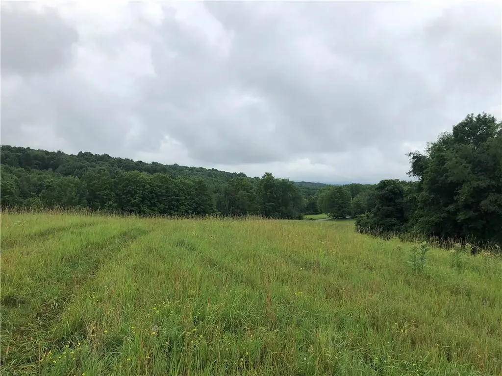 Lot 2 Wheeler Road Florida NY 10921