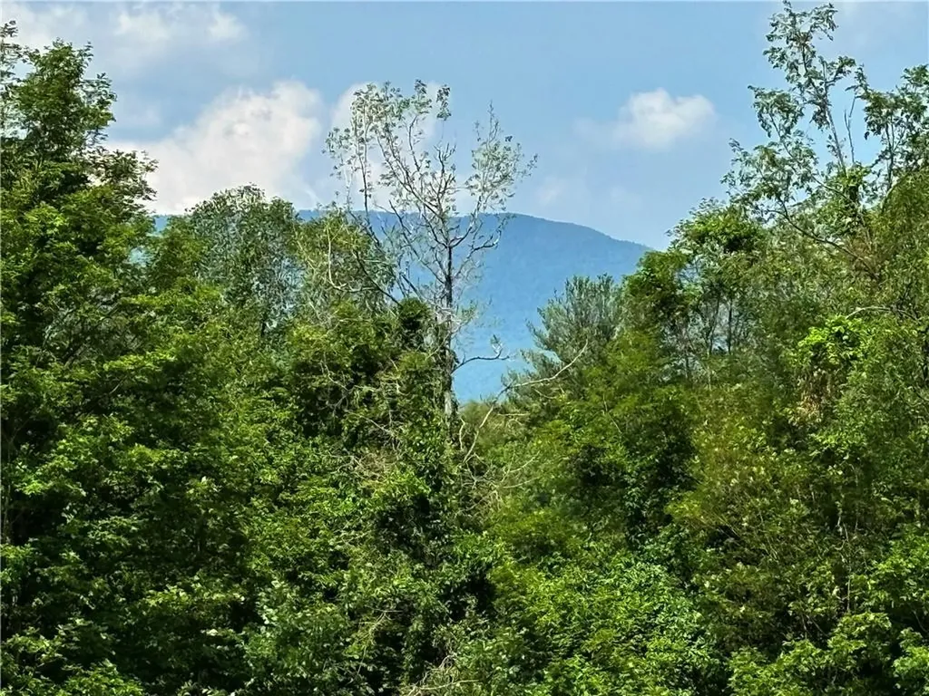 195 Grove School Road Catskill NY 12414