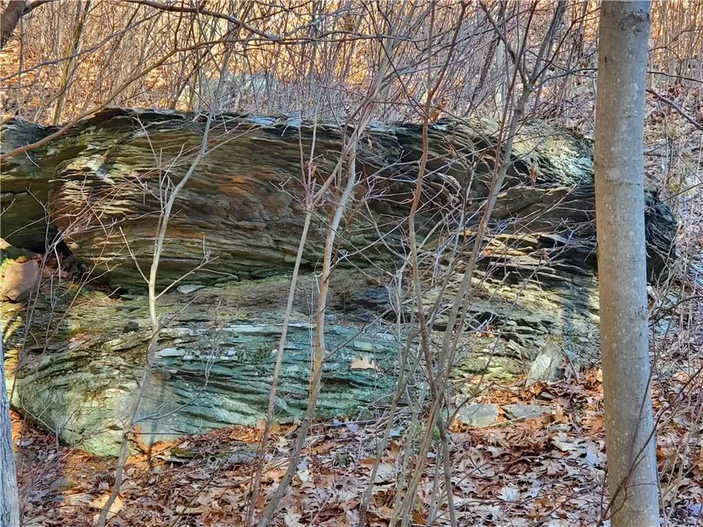 195 Grove School Road Catskill NY 12414