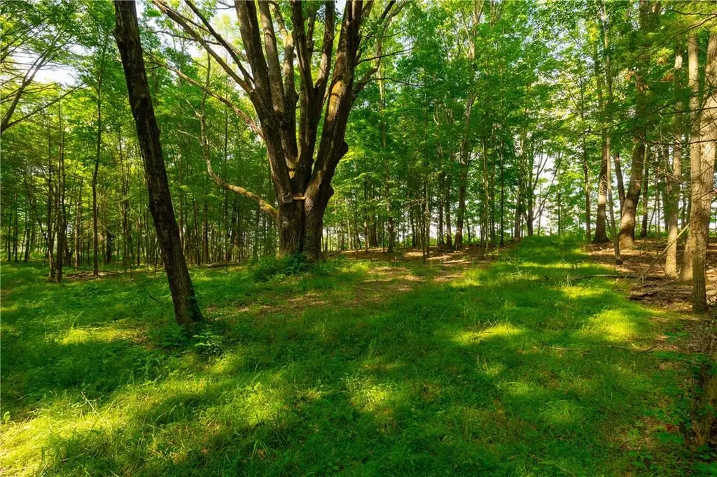 Lake Road Pine Plains NY 12567
