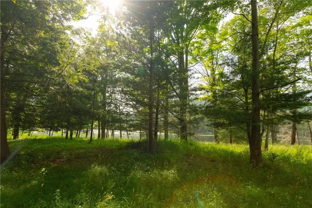 Lake Road Pine Plains NY 12567
