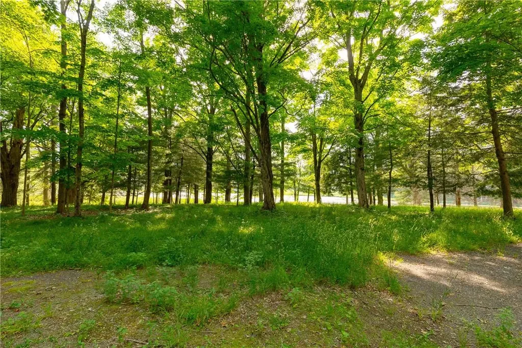 Lake Road Pine Plains NY 12567