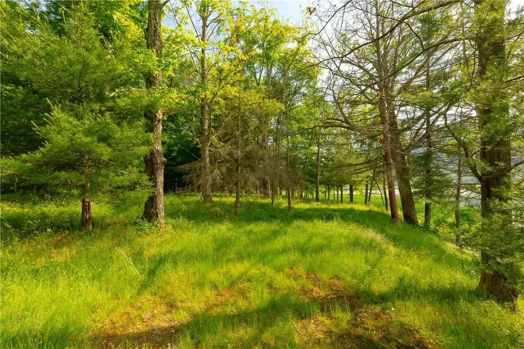 Lake Road Pine Plains NY 12567