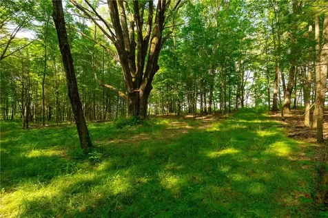 Lake Road Pine Plains NY 12567