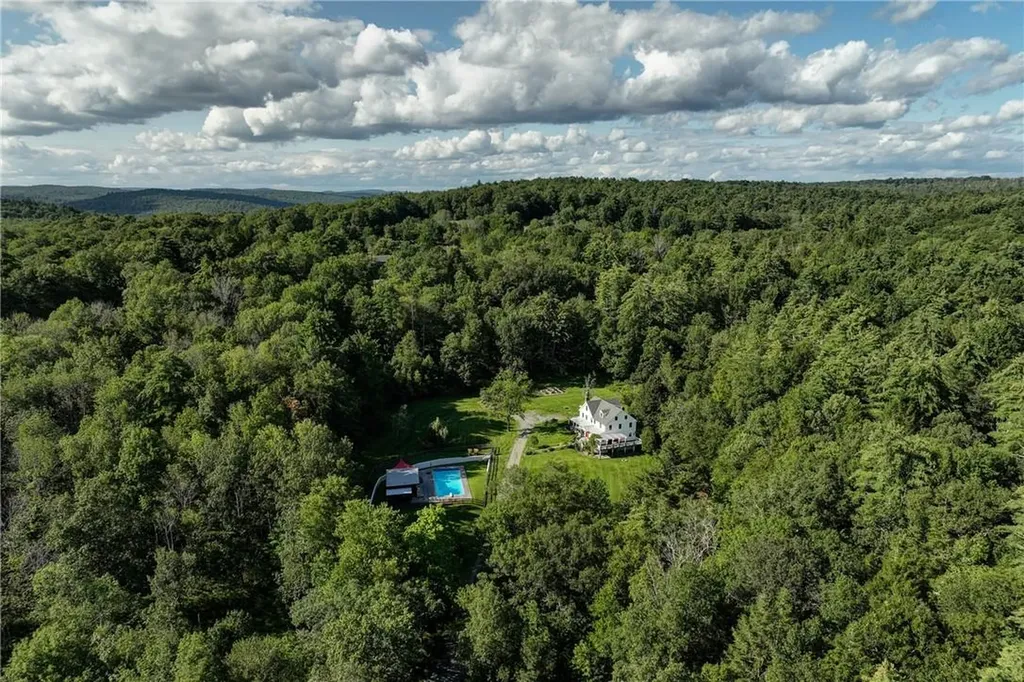 39 Deep Hollow Hill Road Narrowsburg NY 12764