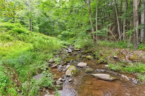 39 Deep Hollow Hill Road Narrowsburg NY 12764