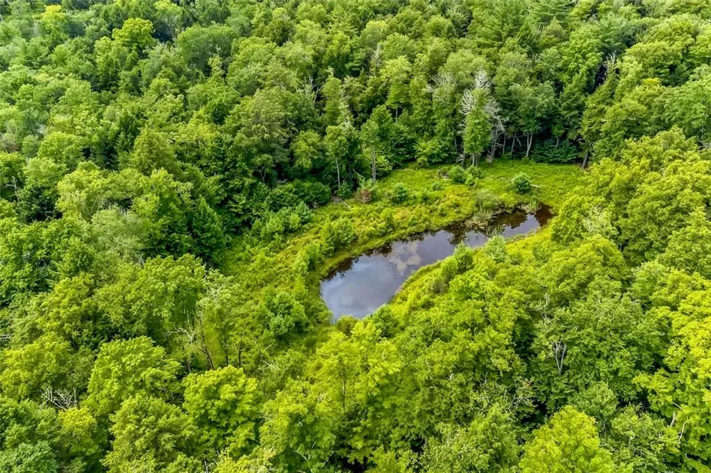 668 Starlight Road Monticello NY 12701