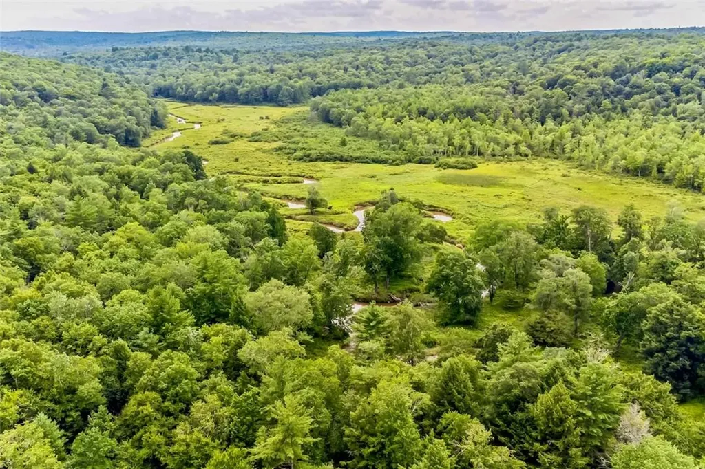 668 Starlight Road Monticello NY 12701