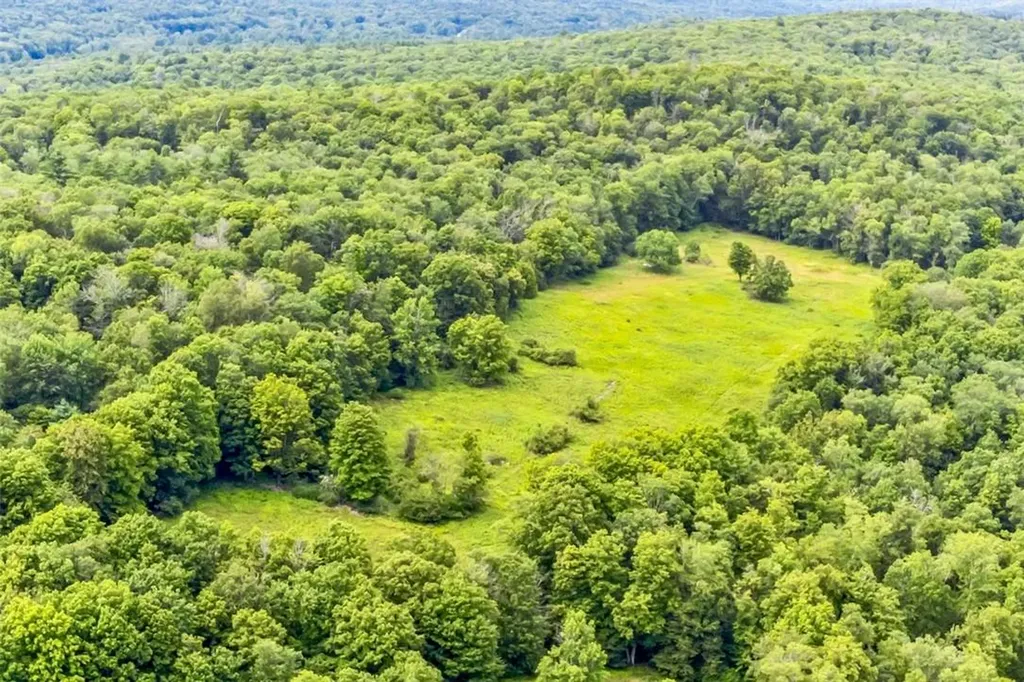 668 Starlight Road Monticello NY 12701
