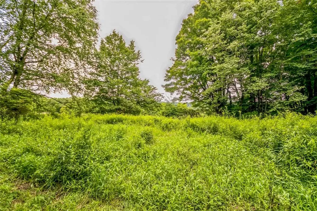 668 Starlight Road Monticello NY 12701