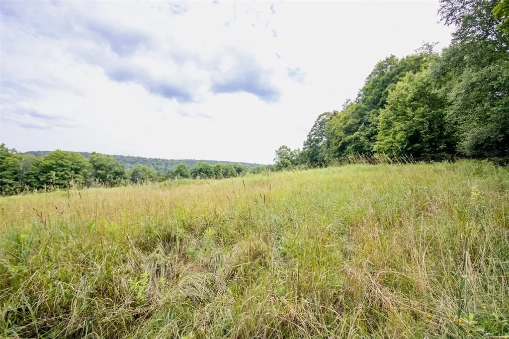 668 Starlight Road Monticello NY 12701