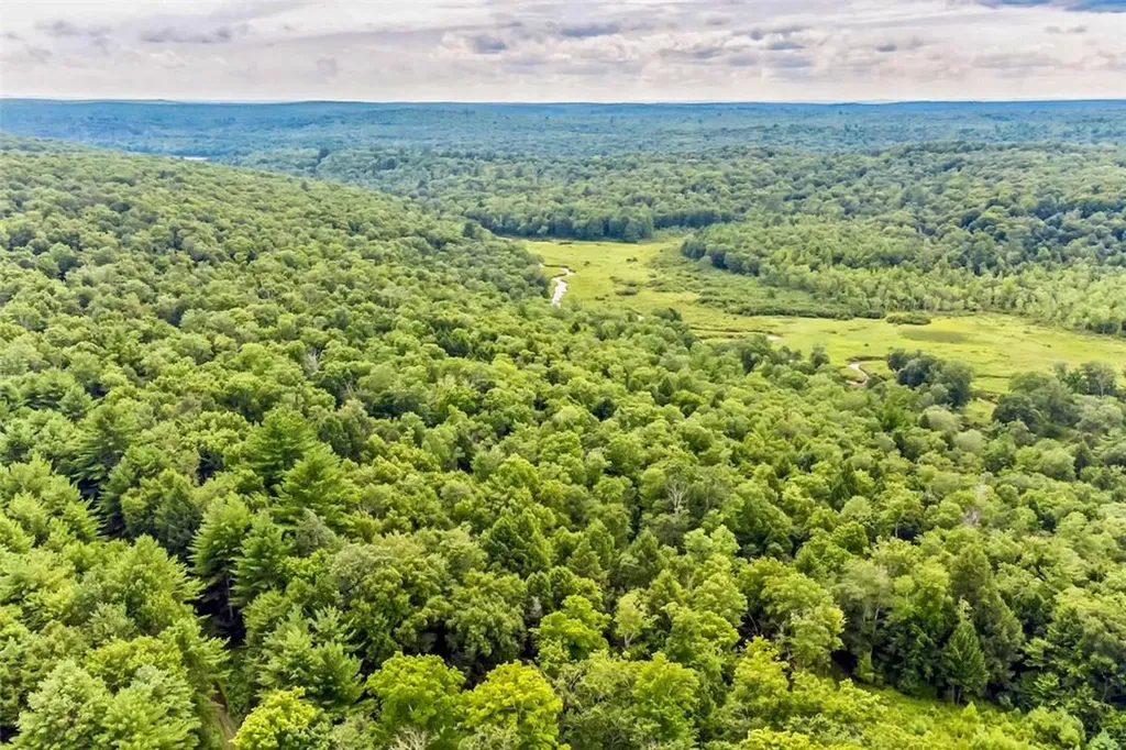 668 Starlight Road Monticello NY 12701