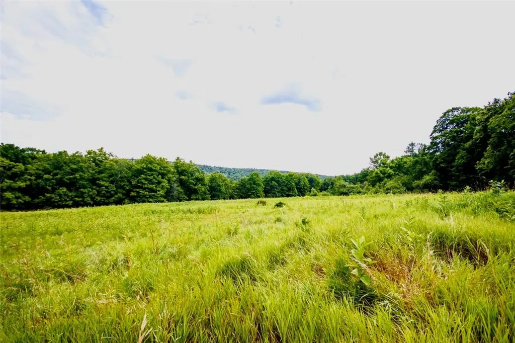 668 Starlight Road Monticello NY 12701