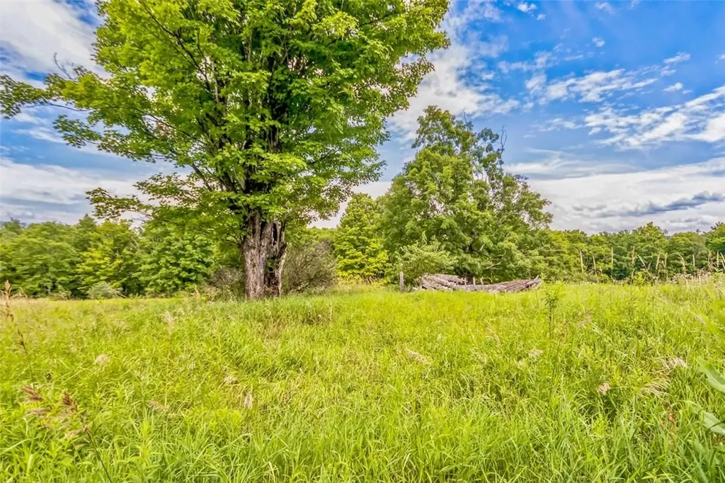 668 Starlight Road Monticello NY 12701