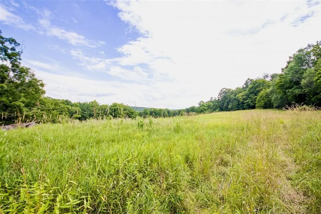 668 Starlight Road Monticello NY 12701