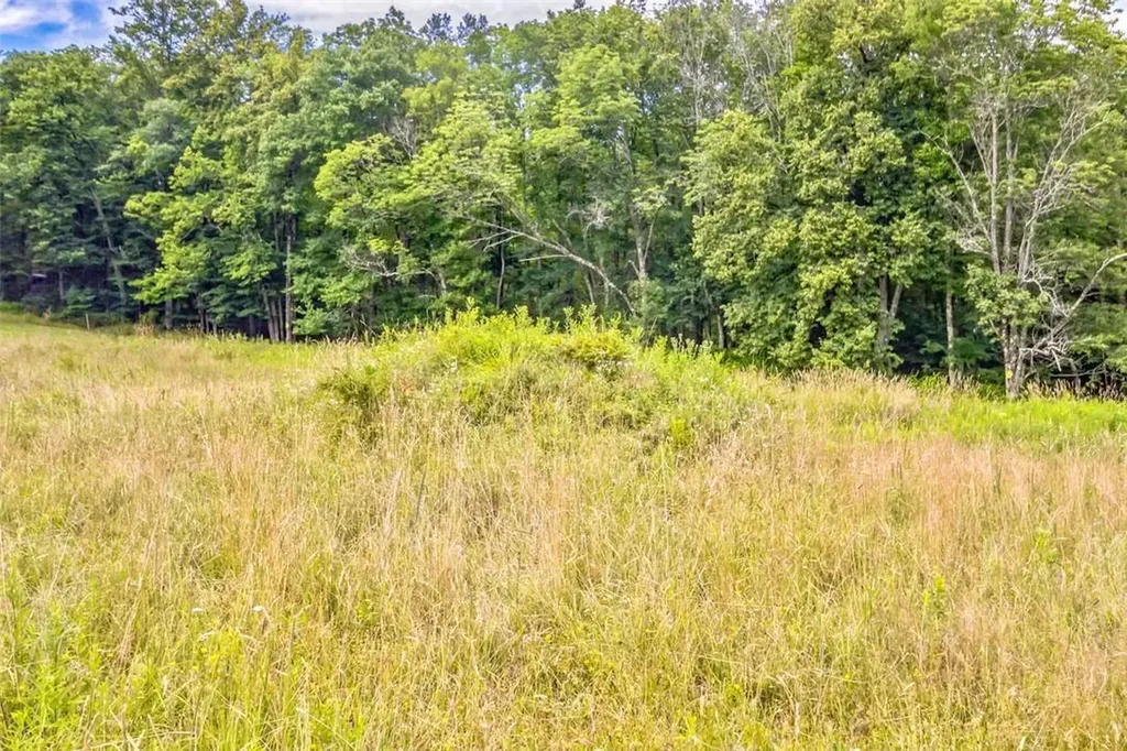 668 Starlight Road Monticello NY 12701