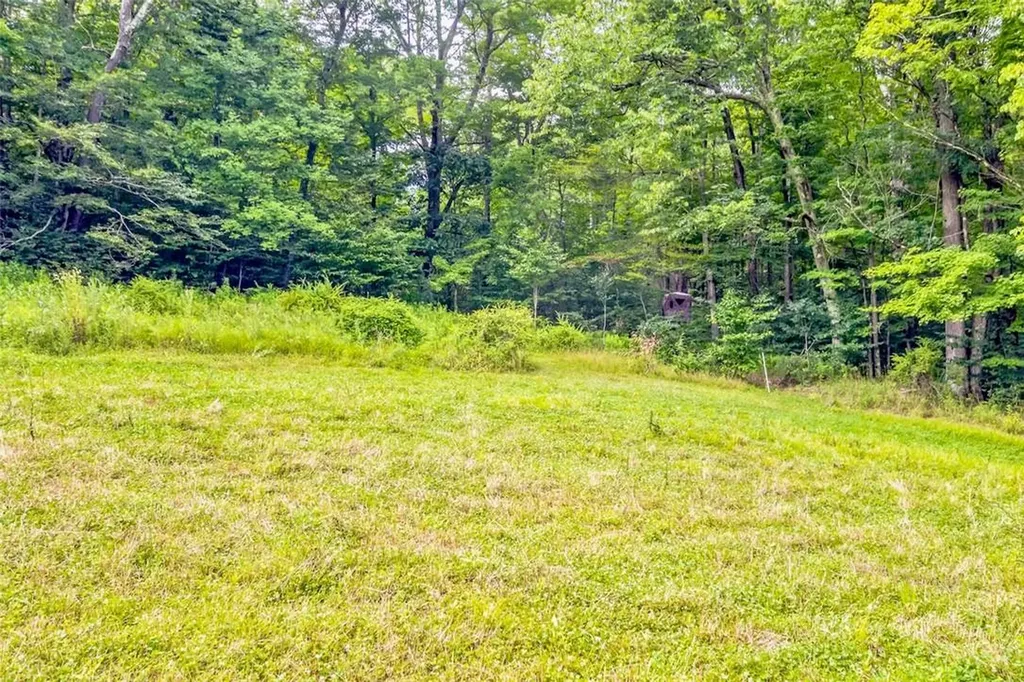 668 Starlight Road Monticello NY 12701