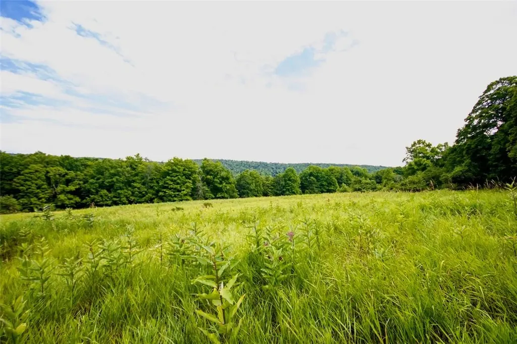 668 Starlight Road Monticello NY 12701