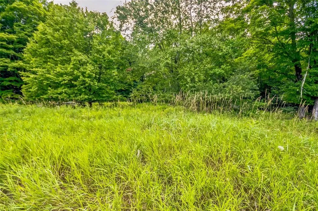 668 Starlight Road Monticello NY 12701