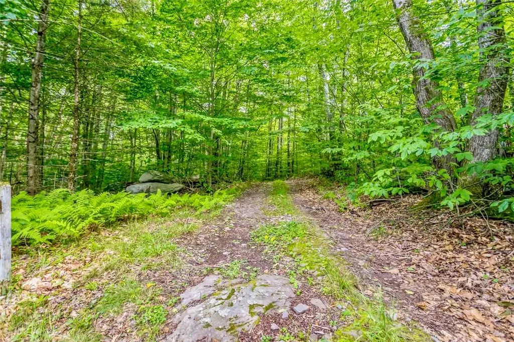 668 Starlight Road Monticello NY 12701