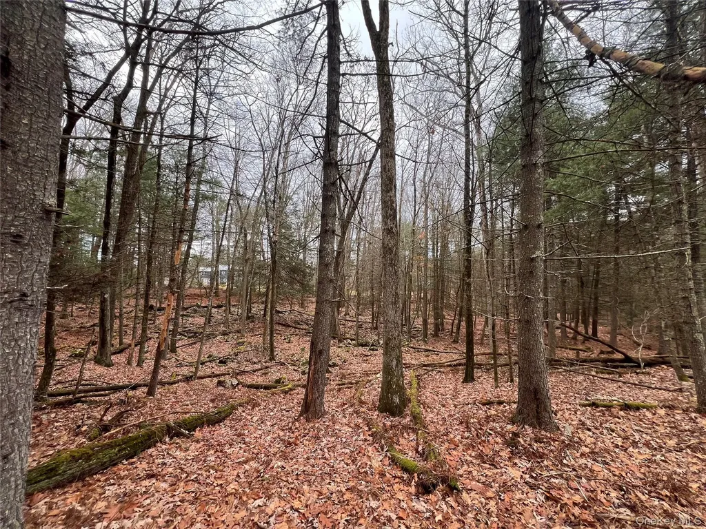 79 Dexheimer Road Narrowsburg NY 12764