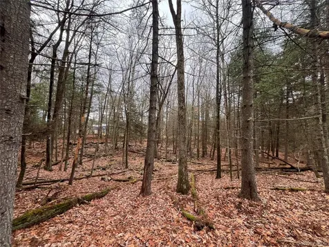 79 Dexheimer Road Narrowsburg NY 12764