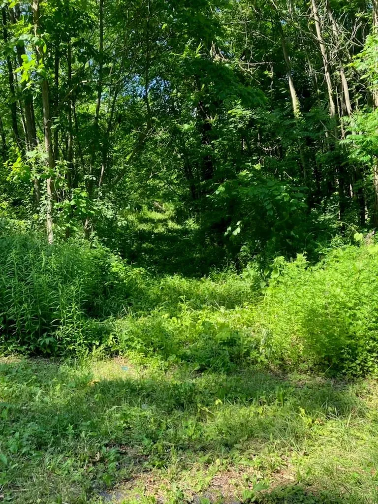 73 Anderson Road Gardiner NY 12525