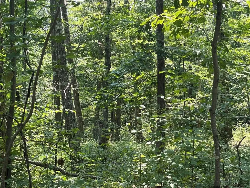 Cascade Mount / Perrys Corners Amenia NY 12501