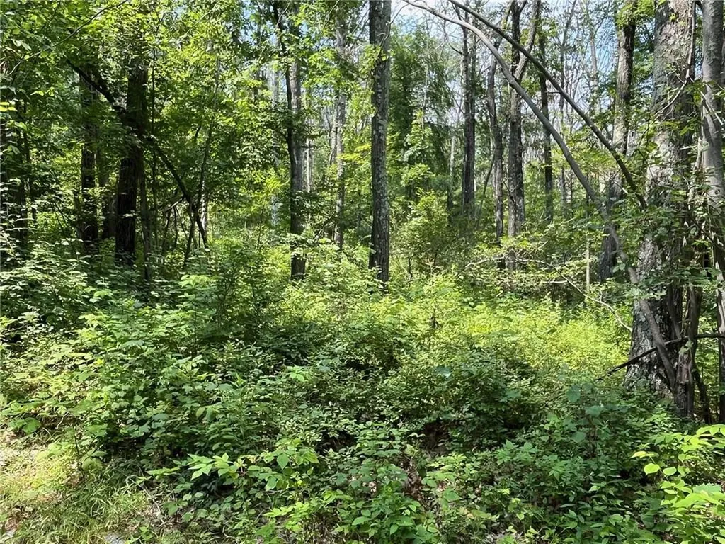Cascade Mount / Perrys Corners Amenia NY 12501