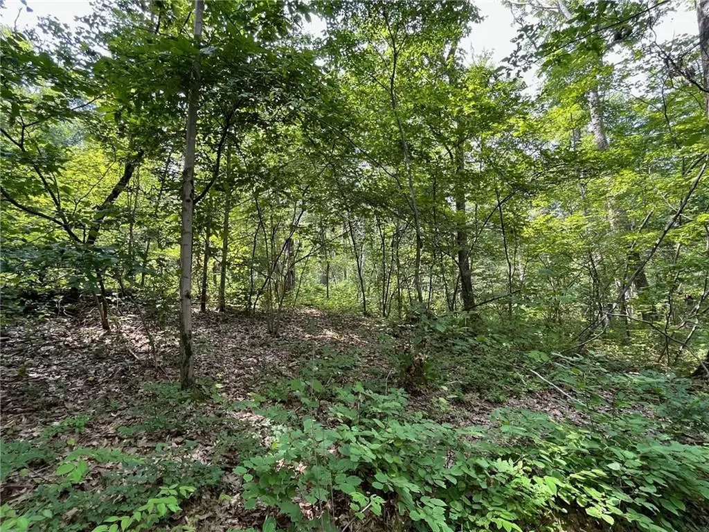 Cascade Mount / Perrys Corners Amenia NY 12501