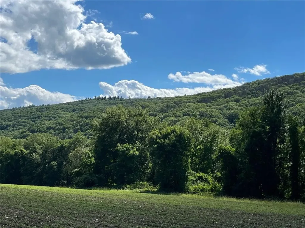 Cascade Mount / Perrys Corners Amenia NY 12501