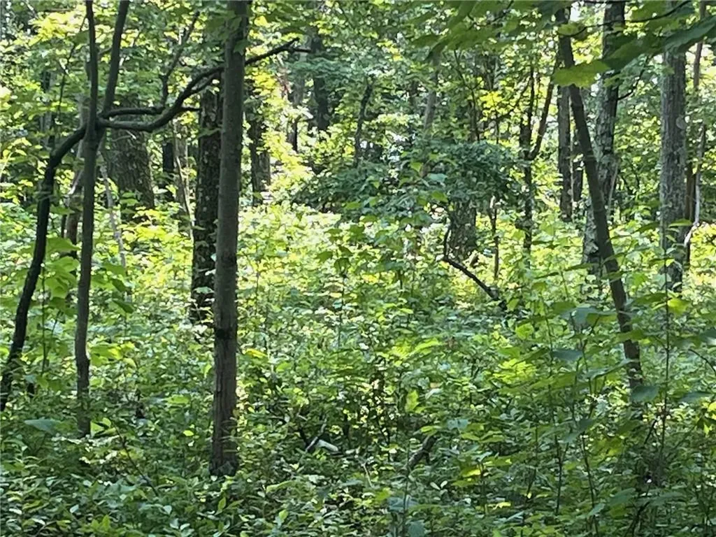 Cascade Mount / Perrys Corners Amenia NY 12501