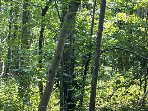Cascade Mt / Perrys Corners Amenia NY 12501