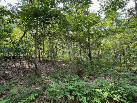 Cascade Mt / Perrys Corners Amenia NY 12501
