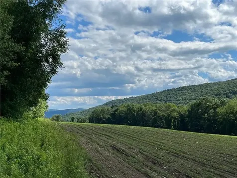 Cascade Mt / Perrys Corners Amenia NY 12501