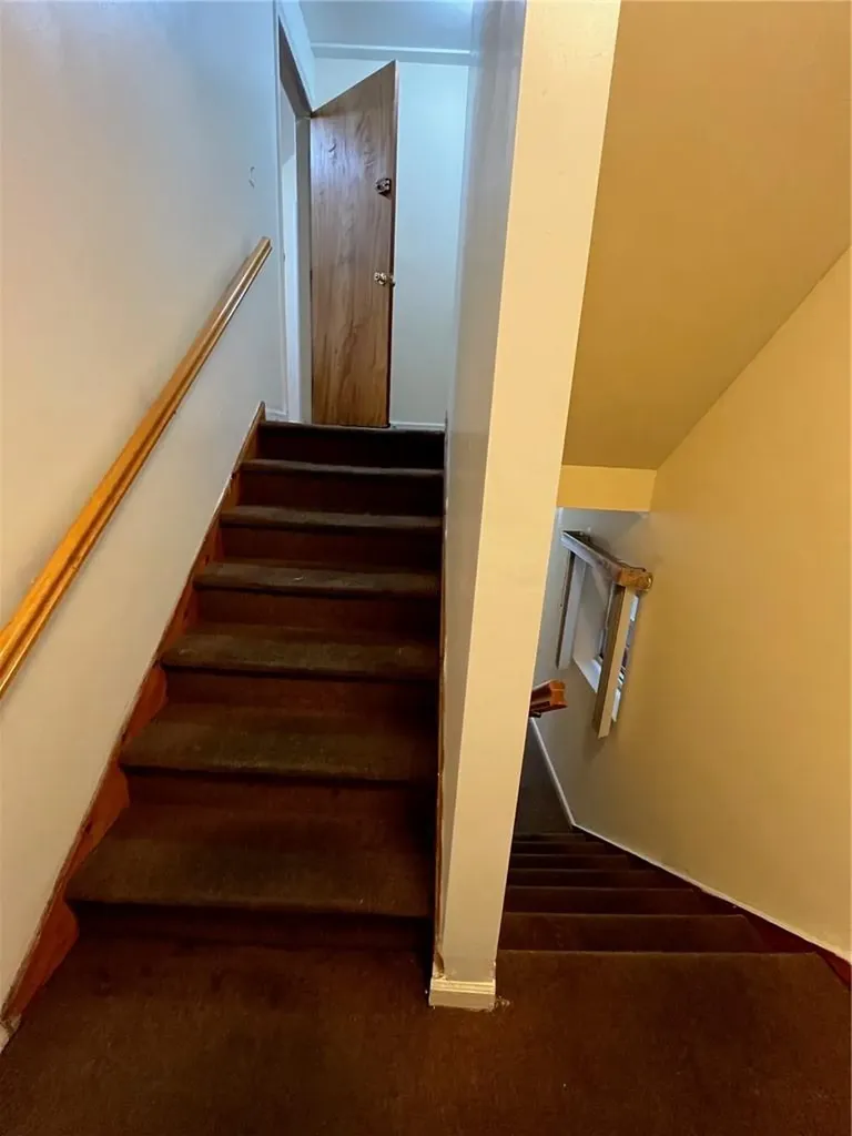 919 Mace Avenue Bronx NY 10469