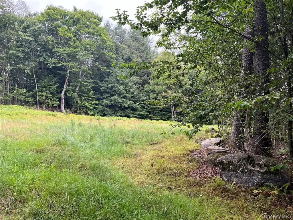 34 Black Bear Crossing Claryville NY 12725
