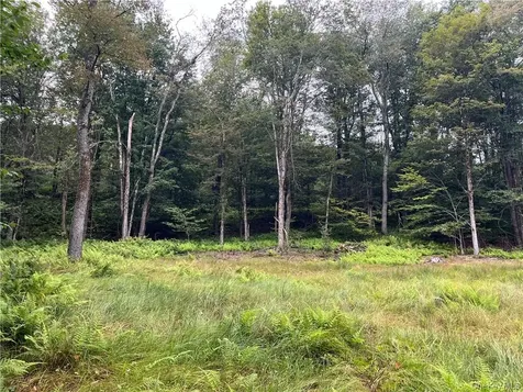 34 Black Bear Crossing Claryville NY 12725